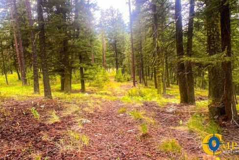 Nighthawk Drive Tract (18)