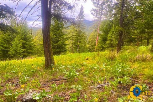 Nighthawk Drive Tract (19)