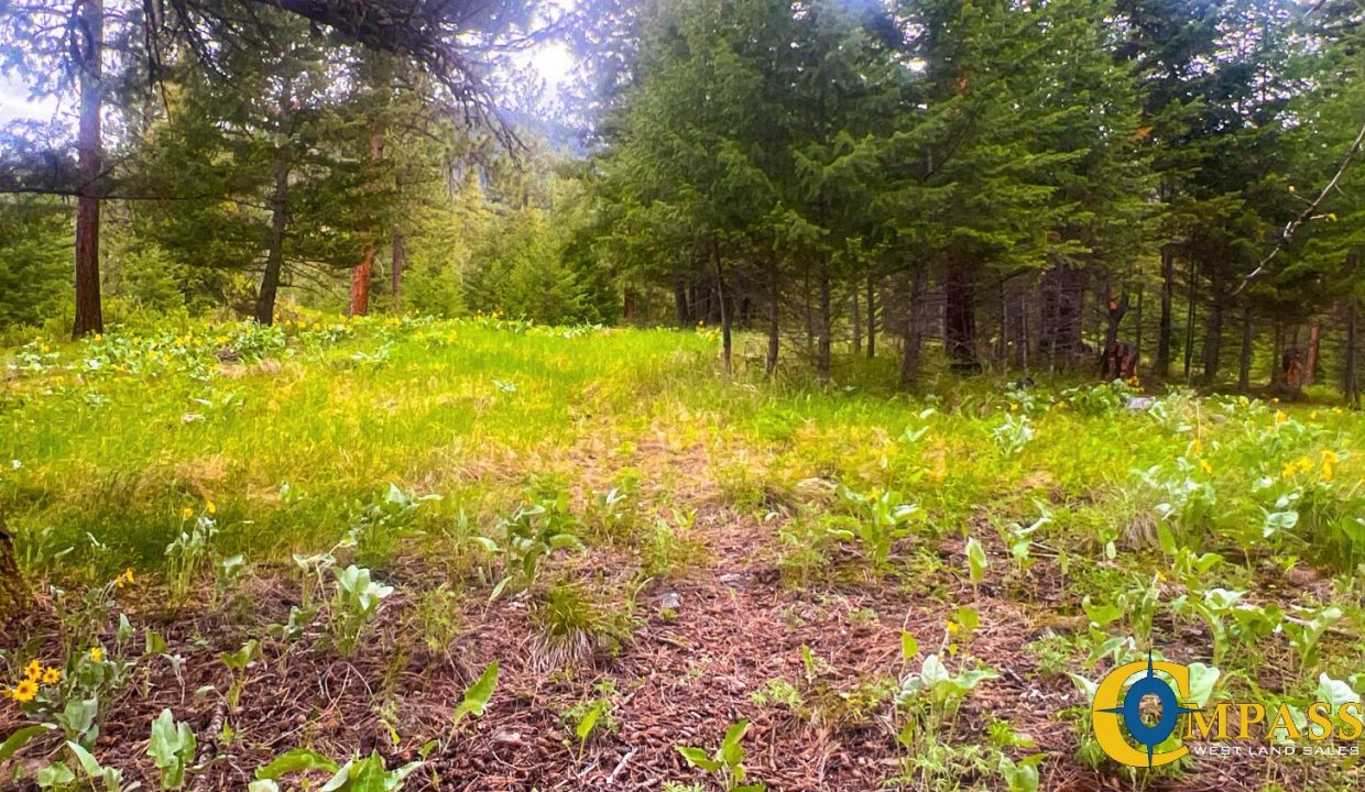 Nighthawk Drive Tract (24)