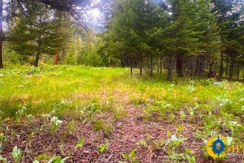 Nighthawk Drive Tract (24)