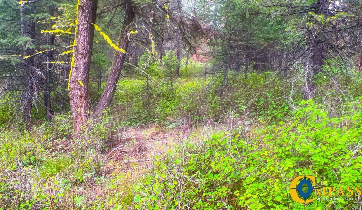 Nighthawk Drive Tract (25)