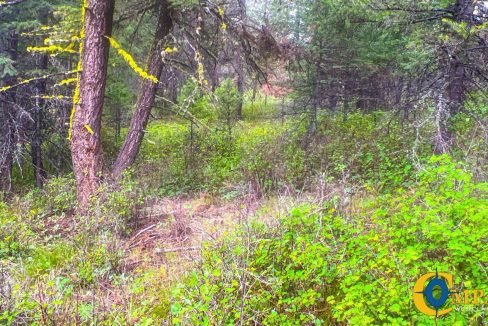 Nighthawk Drive Tract (25)