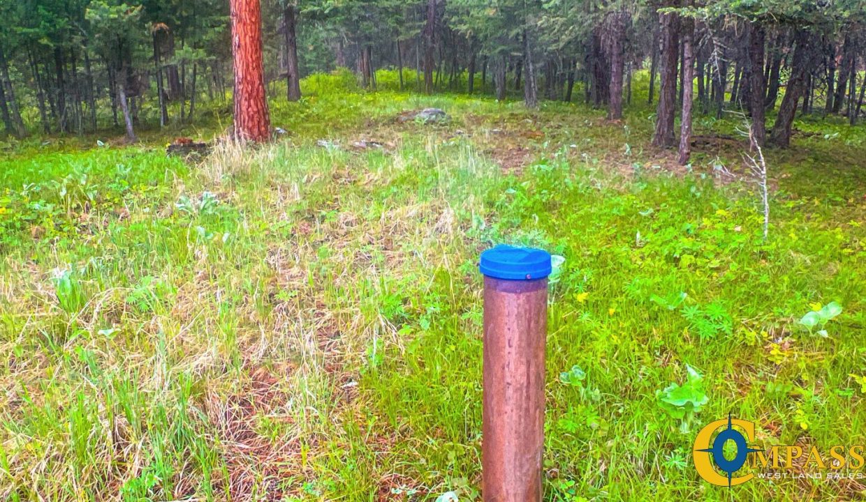 Nighthawk Drive Tract (27)