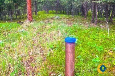 Nighthawk Drive Tract (27)