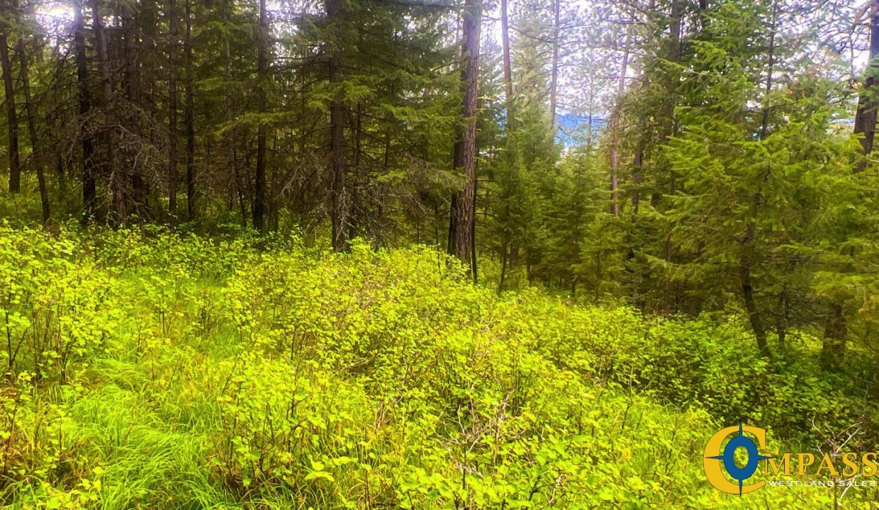 Nighthawk Drive Tract (28)