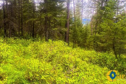 Nighthawk Drive Tract (28)