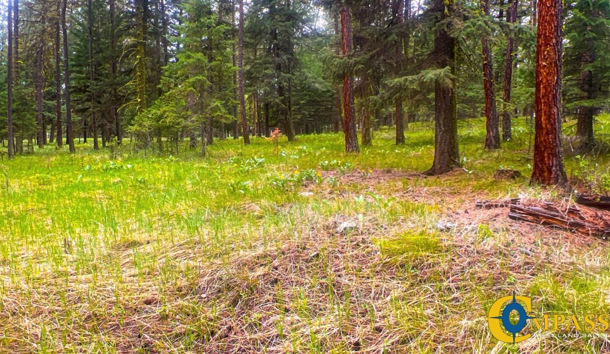 Nighthawk Drive Tract (30)