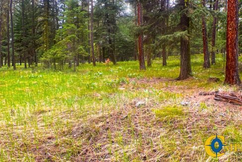 Nighthawk Drive Tract (30)