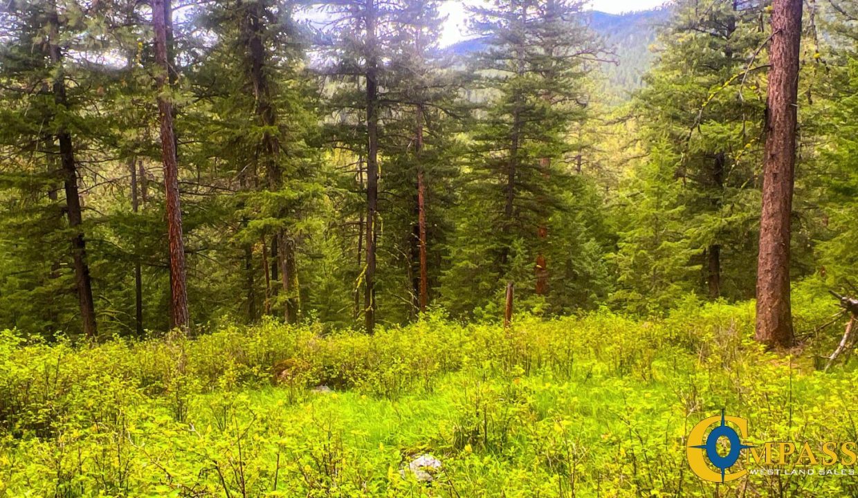 Nighthawk Drive Tract (31)