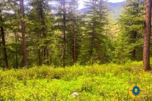 Nighthawk Drive Tract (31)