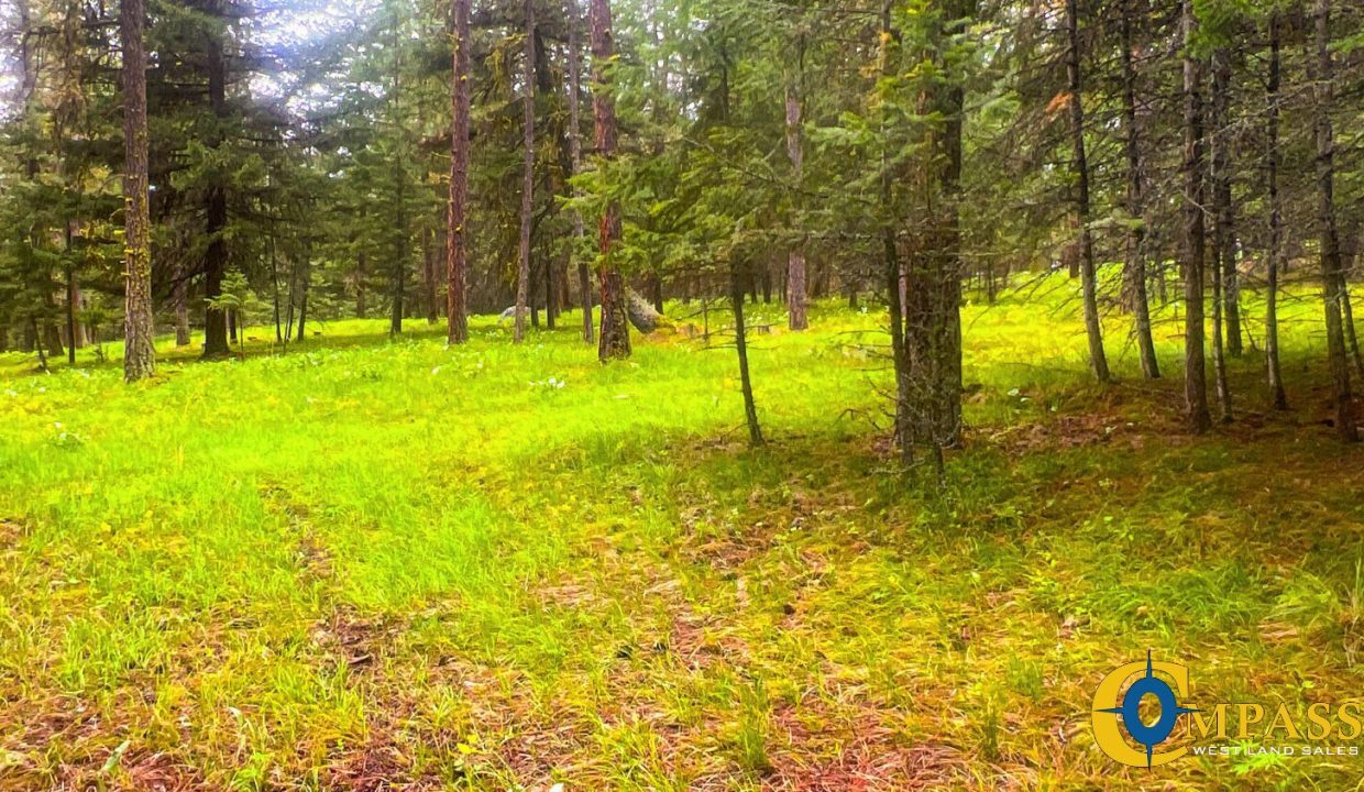 Nighthawk Drive Tract (32)