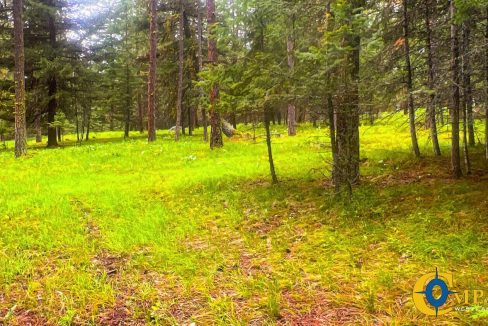 Nighthawk Drive Tract (32)