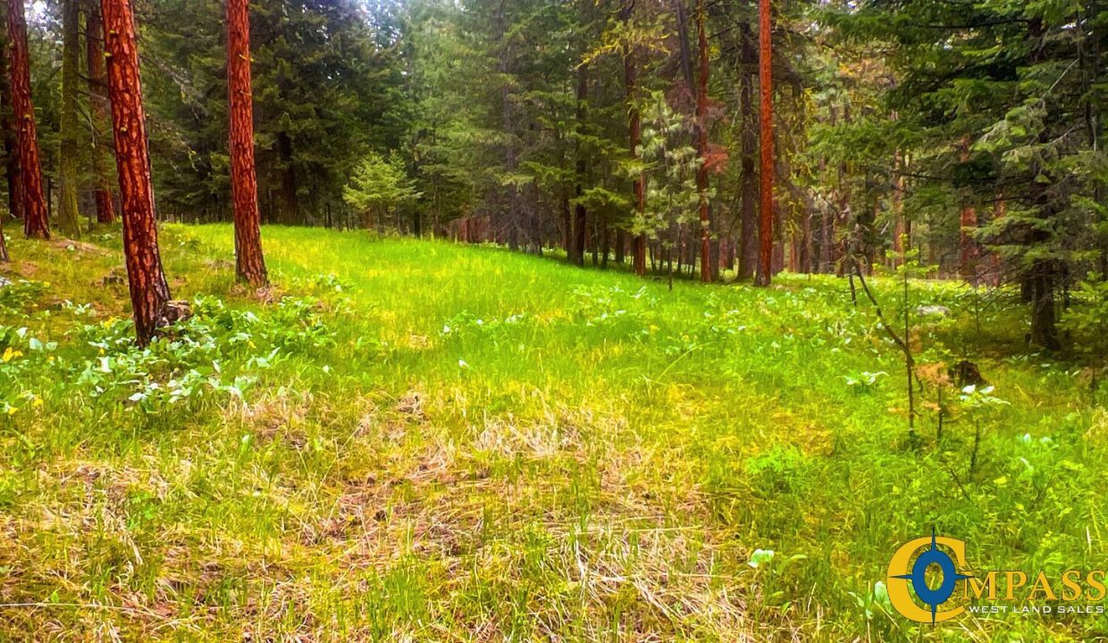 Nighthawk Drive Tract (33)