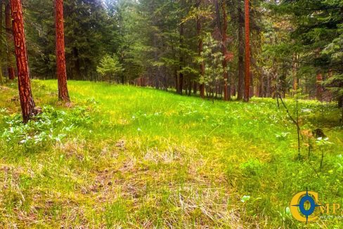 Nighthawk Drive Tract (33)