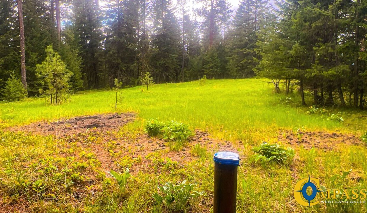 Nighthawk Drive Tract (5)