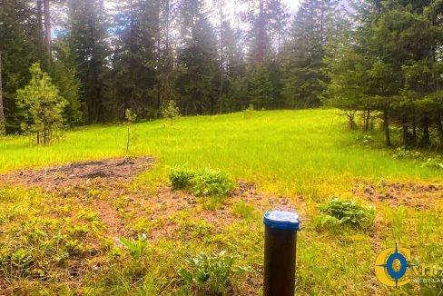Nighthawk Drive Tract (5)