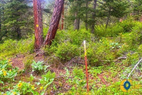 Nighthawk Drive Tract (6)