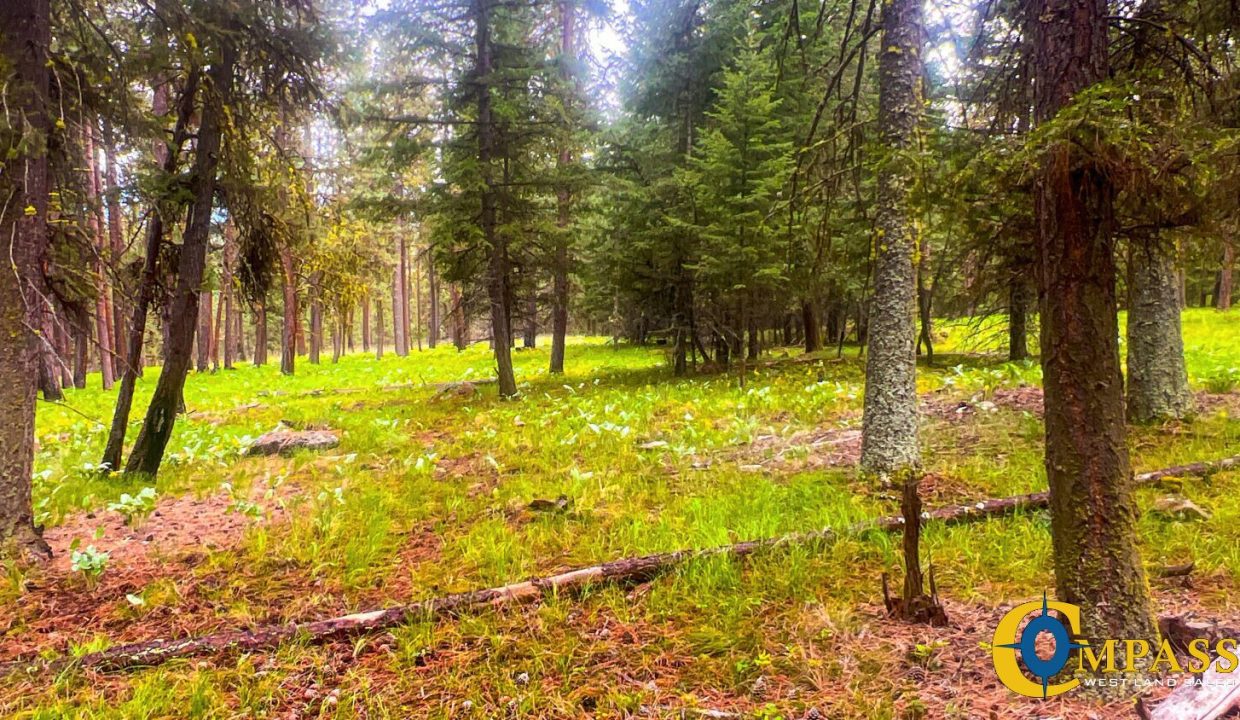 Nighthawk Drive Tract (7)