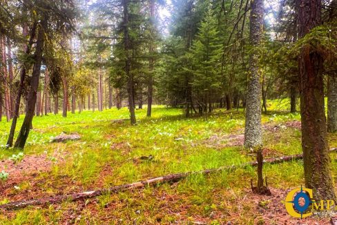 Nighthawk Drive Tract (7)