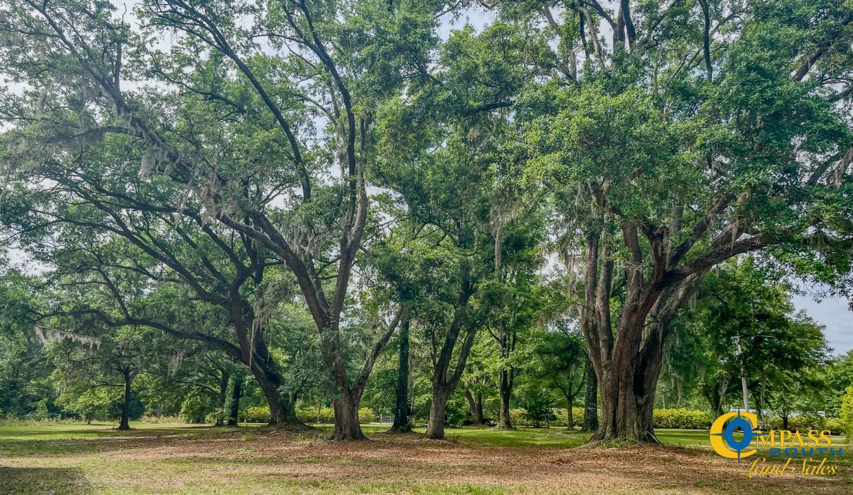 Oakbreeze Farm SC Land for Sale-107