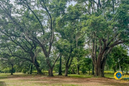 Oakbreeze Farm SC Land for Sale-107