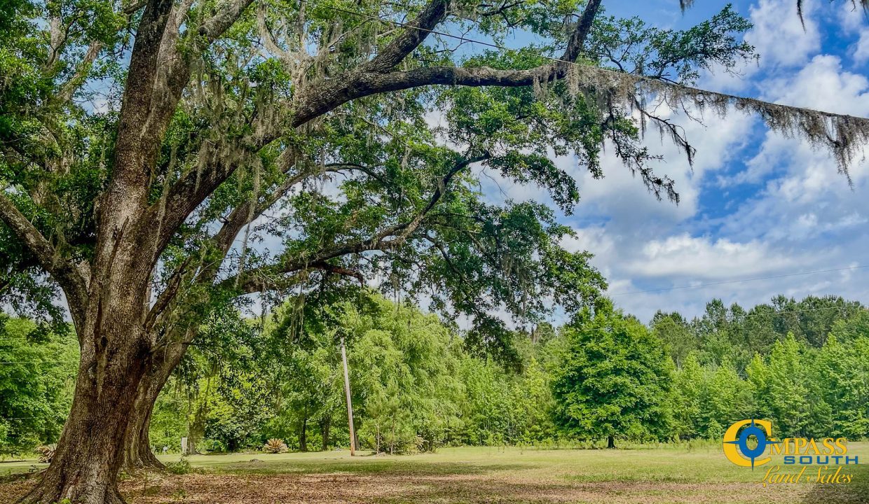 Oakbreeze Farm SC Land for Sale-109