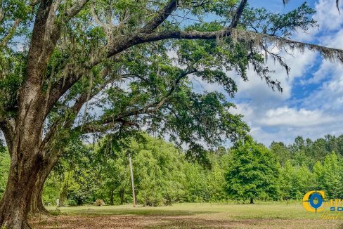 Oakbreeze Farm SC Land for Sale-109