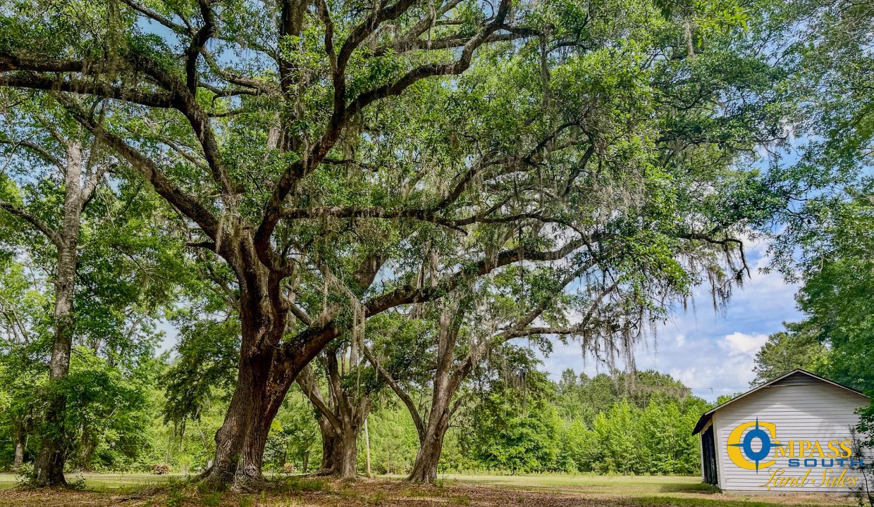 Oakbreeze Farm SC Land for Sale-110