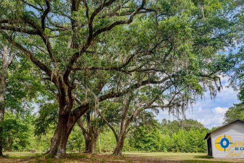 Oakbreeze Farm SC Land for Sale-110
