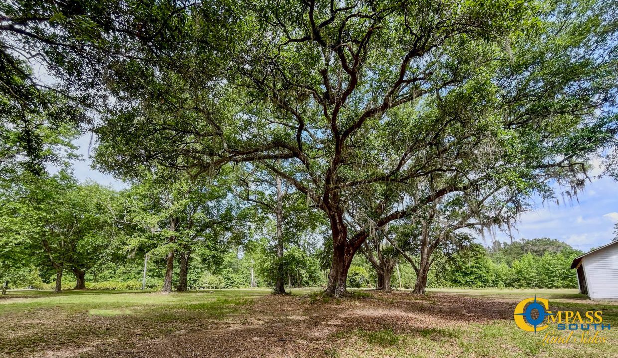 Oakbreeze Farm SC Land for Sale-111