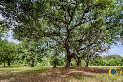 Oakbreeze Farm SC Land for Sale-111