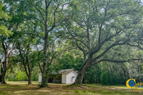 Oakbreeze Farm SC Land for Sale-114