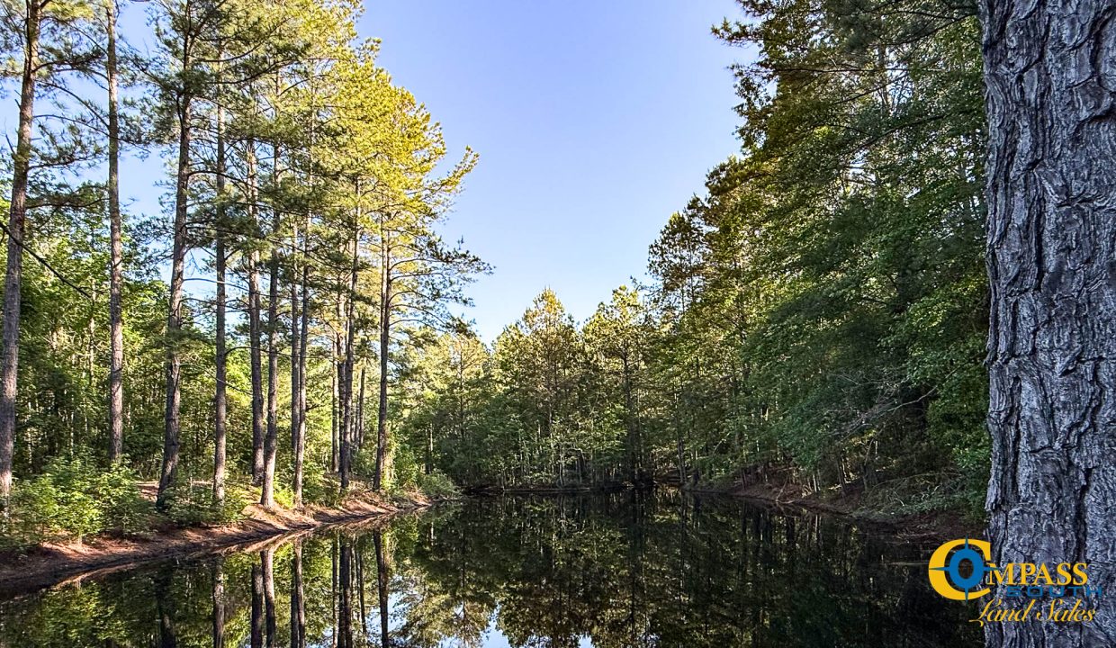 Oakbreeze Farm SC Land for Sale-13