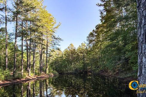 Oakbreeze Farm SC Land for Sale-13