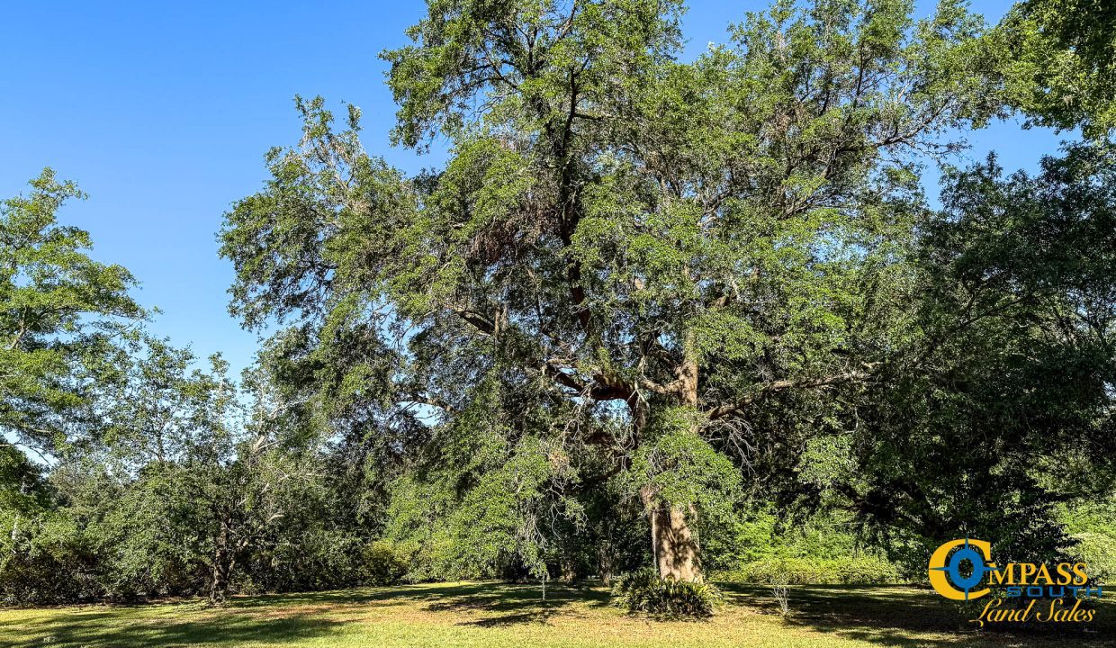 Oakbreeze Farm SC Land for Sale-15