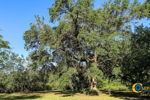 Oakbreeze Farm SC Land for Sale-15