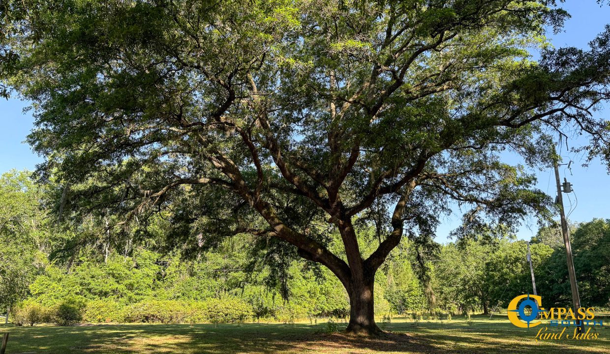 Oakbreeze Farm SC Land for Sale-17