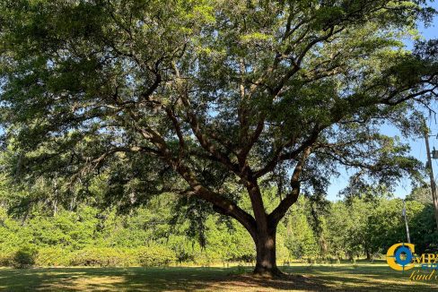 Oakbreeze Farm SC Land for Sale-17