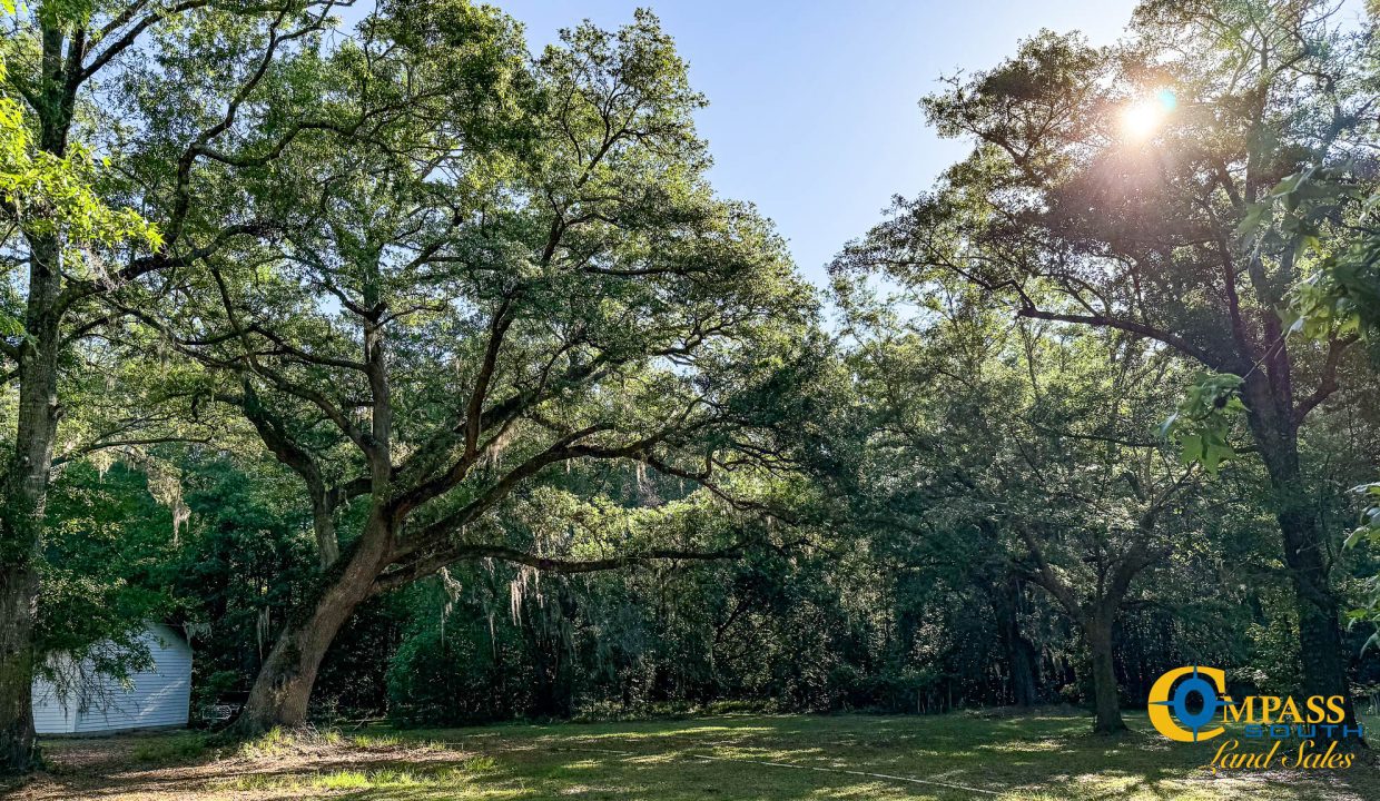 Oakbreeze Farm SC Land for Sale-18