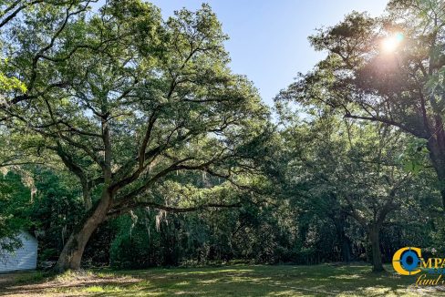 Oakbreeze Farm SC Land for Sale-18