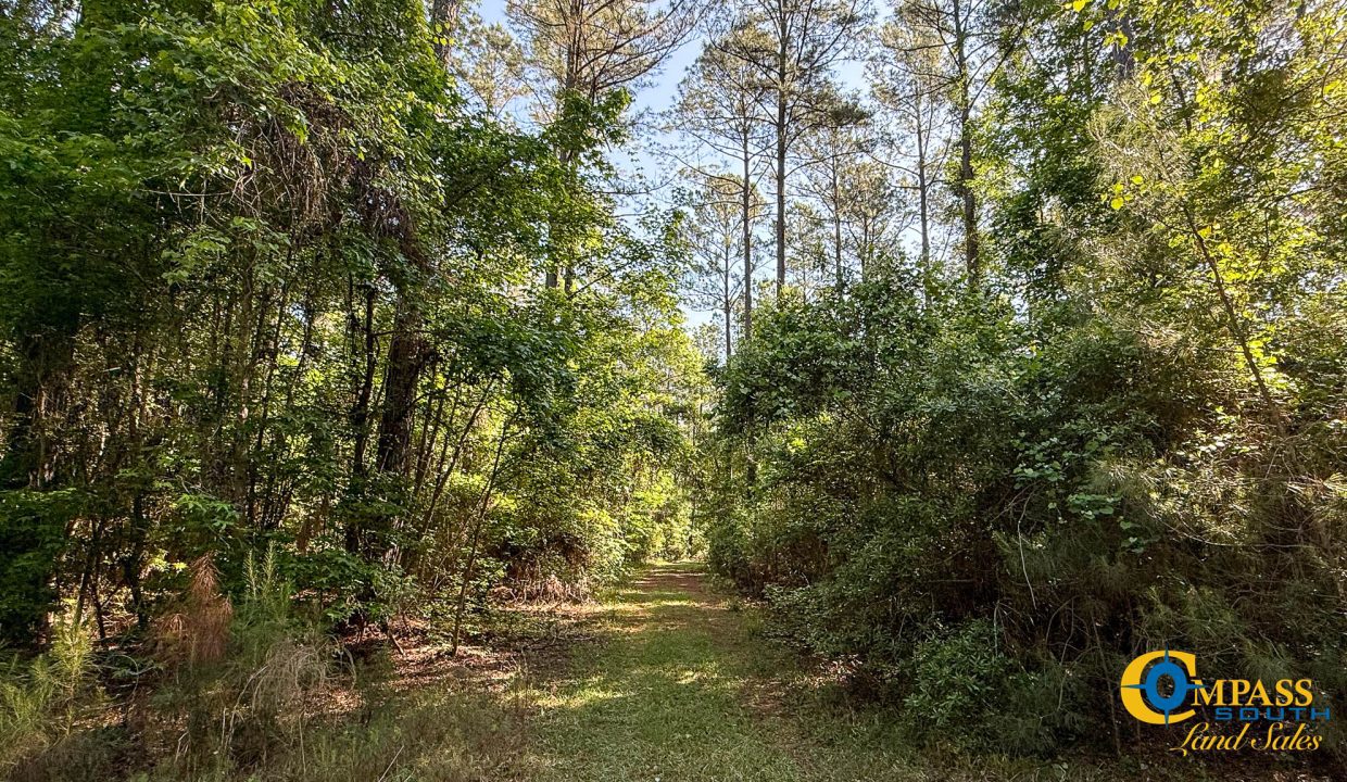 Oakbreeze Farm SC Land for Sale-26