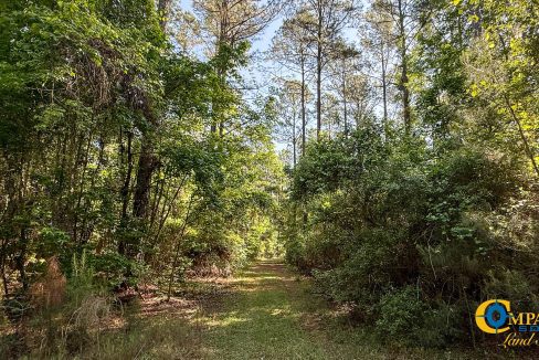 Oakbreeze Farm SC Land for Sale-26