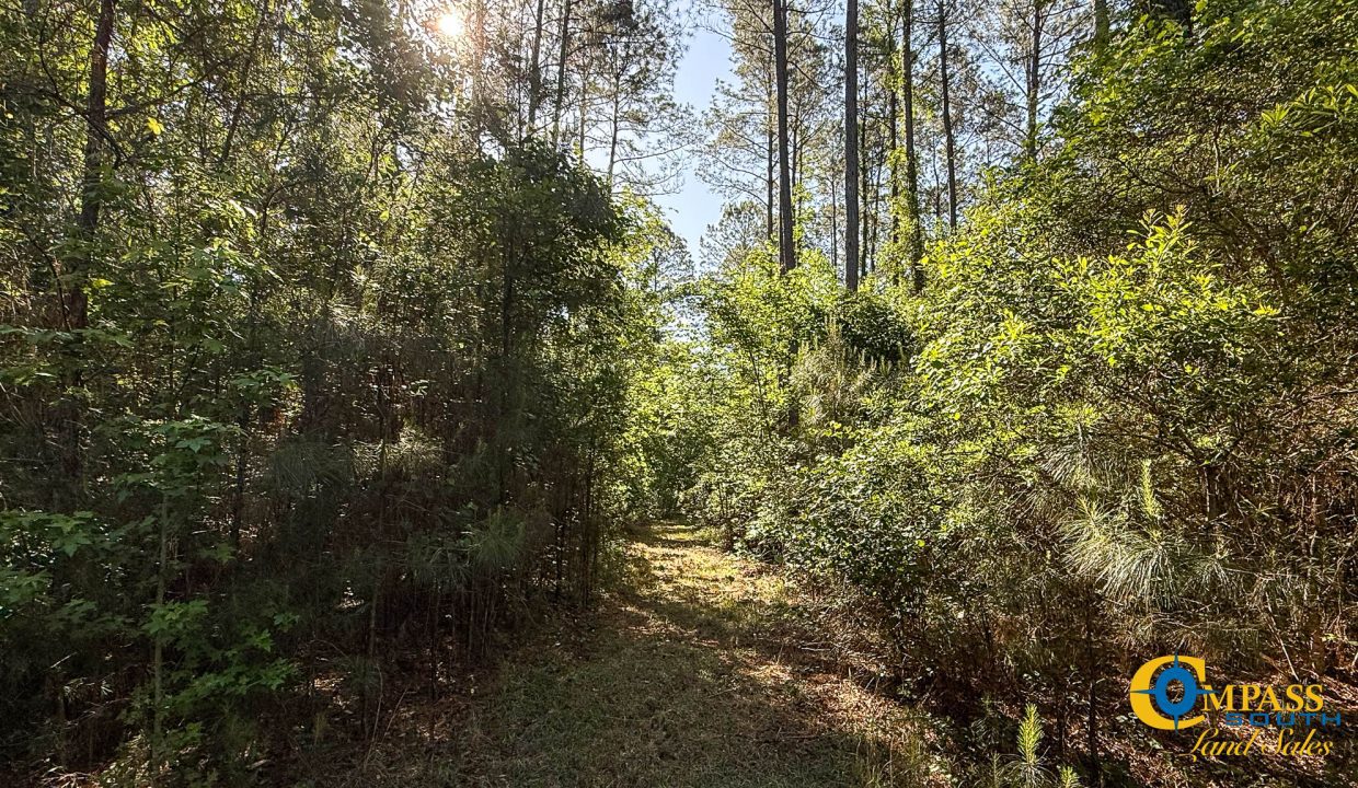 Oakbreeze Farm SC Land for Sale-27
