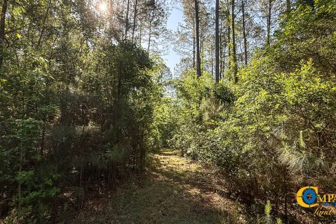 Oakbreeze Farm SC Land for Sale-27