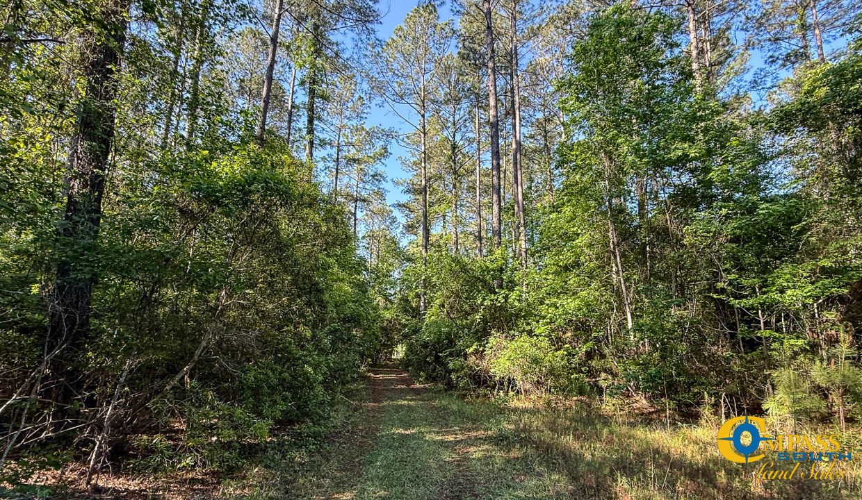 Oakbreeze Farm SC Land for Sale-28
