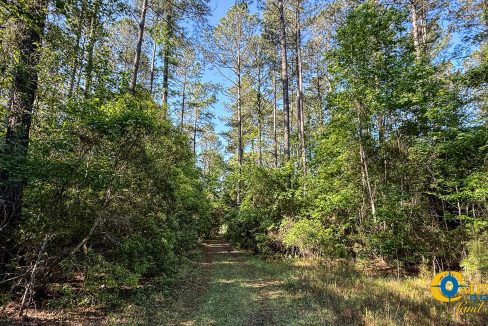 Oakbreeze Farm SC Land for Sale-28