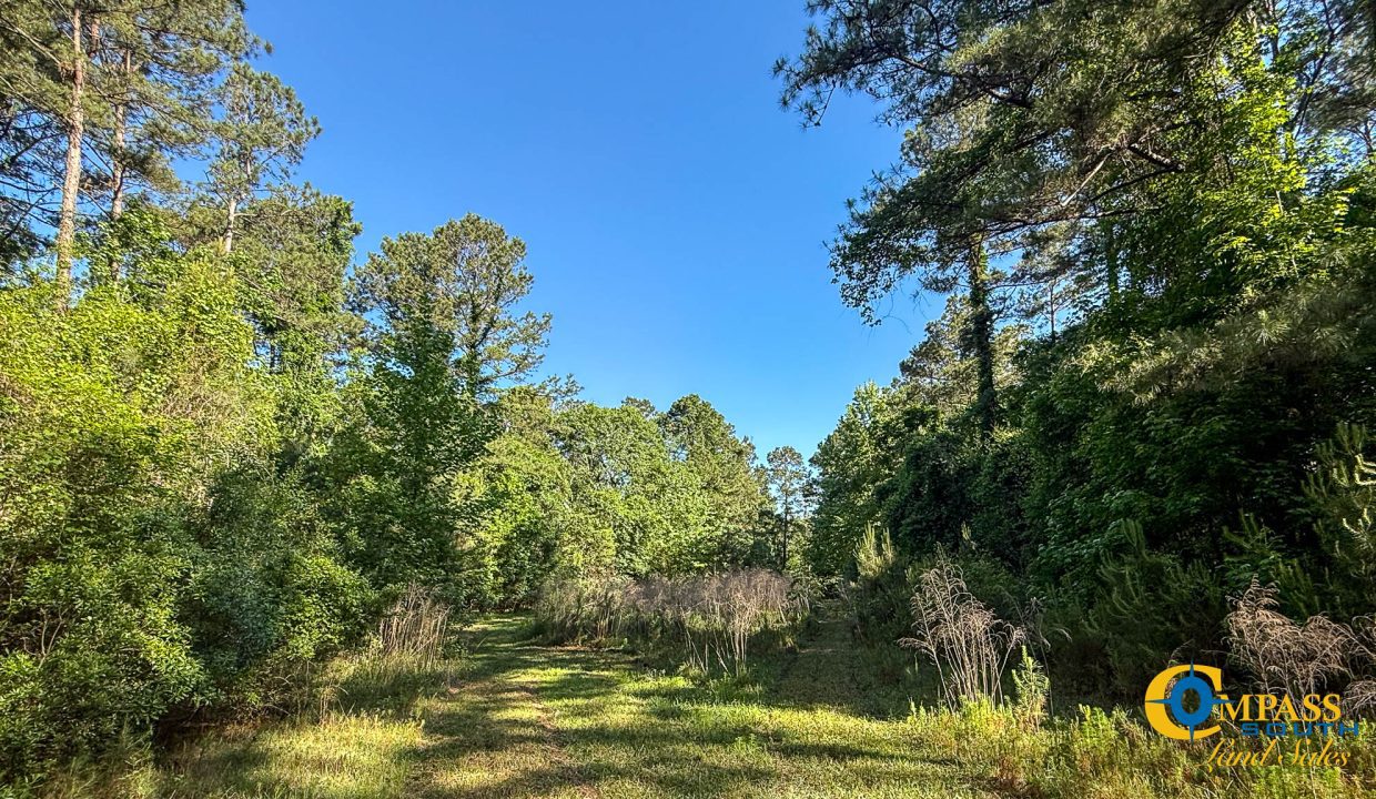 Oakbreeze Farm SC Land for Sale-29