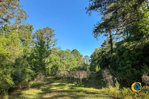 Oakbreeze Farm SC Land for Sale-29