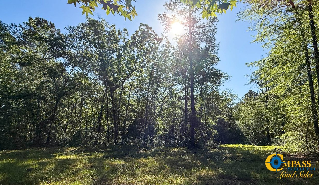 Oakbreeze Farm SC Land for Sale-30
