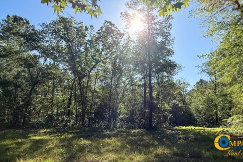 Oakbreeze Farm SC Land for Sale-30